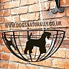 Airedale Hanging Basket